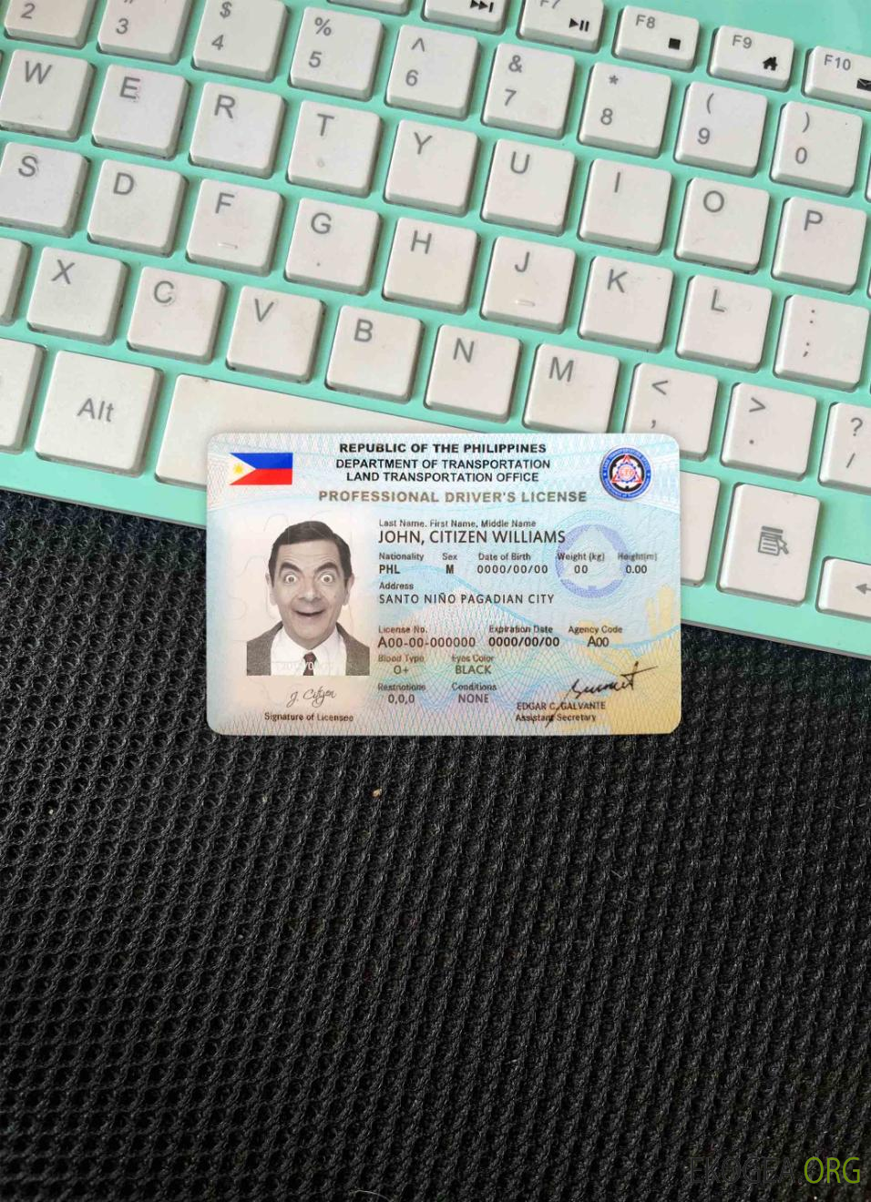 Photolook du permis de conduire des Philippines AVANT